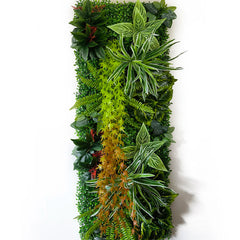 tableau Vegetal Exterieur